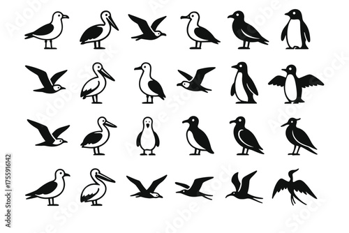 A set of 20 black-and-white silhouettes of birds, such as pelicans, seagulls, penguins, and other seabirds. 