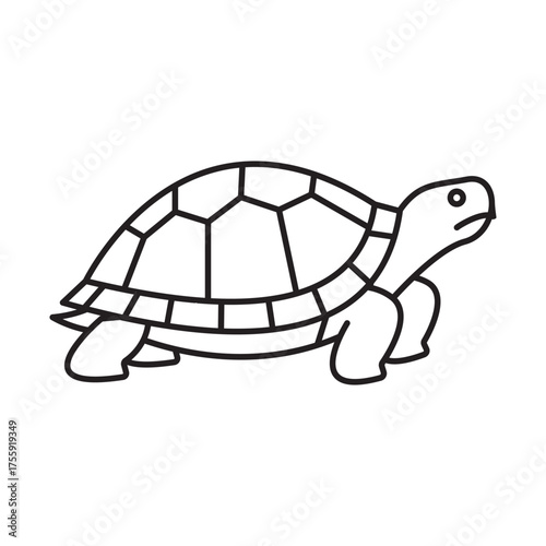 Turtle line drawing illustration animal reptile shell legs design simple vector pet wildlife nature cartoon icon art