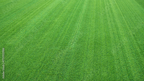 Wide-angle view of lush vibrant green lawn with visible mowing lines, showcasing the freshness and neatness of well-maintained grass. 