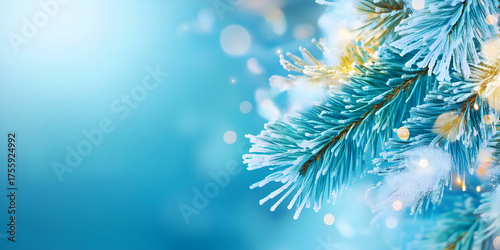 Frosted Fir Branch with Golden Bokeh Lights on a Blue Winter Wallpaper Banner. Festive Background for a Christmas or New Year Holiday Greeting Card.
