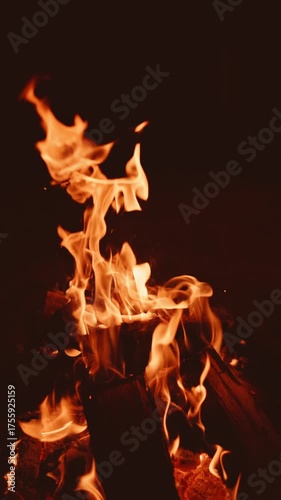 Mesmerizing Flames Dancing Gracefully in the Embrace of the Darkness
