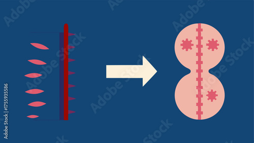 Before and After Scars A sidebyside comparison of a scar on the left dark and thick and a healed area on the right light and flat with arrows indicating improvement due to exosome