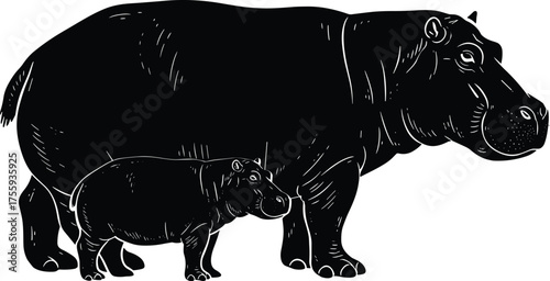 The Mighty Hippopotamus and the Protective Bond with Its Calf

The Mighty Hippopotamus and the Protective Bond with Its Calf