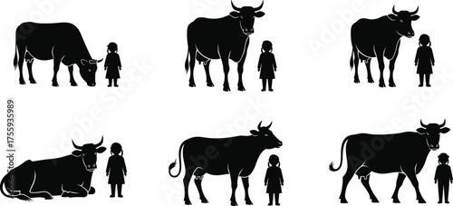 Silhouette cow with child comparison, farm animal posture grazing standing lying, livestock scale reference, rural agriculture education, black vector illustration