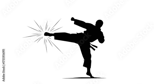 Dynamic martial artist executes powerful side kick with explosive impact, embodying strength and discipline for action-packed projects