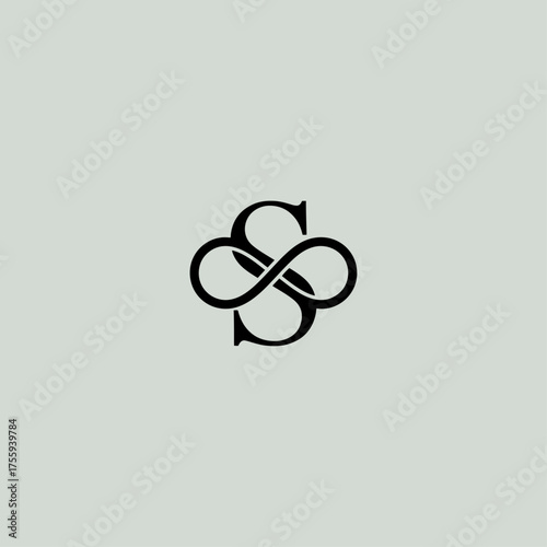 Letter S with infinity logo icon flat vector design.