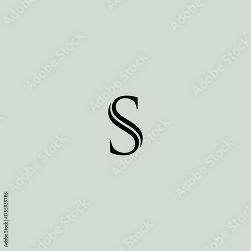 Letter S logo icon flat vector design.