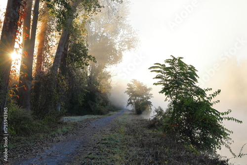 Obraz na plátně Canalside trail disappears into the fog at sunrise