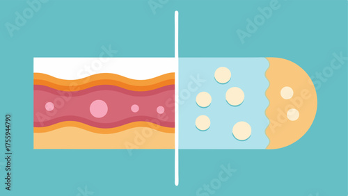 Before and After A split illustration comparing skin elasticity before and after exosome treatment with wrinkled skin on one side and smooth elastic skin on the other.