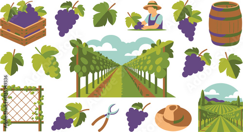 Colorful Illustration Featuring Vineyard, Grapes, Barrel, Farmer, Pruning Shears, and a Crate of Produce