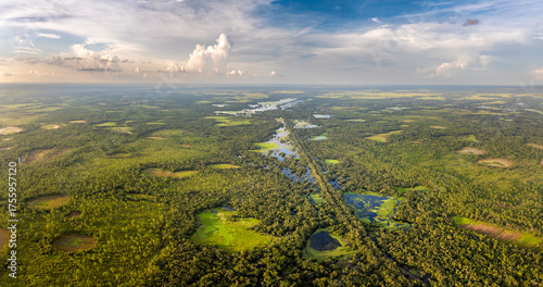 Florida wetlands with water between green wild vegetation. Tropical ecosystem at sunset