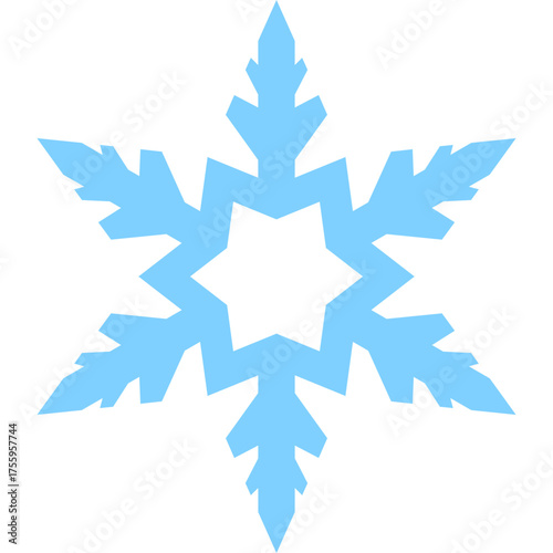 Winter Snowflake Element