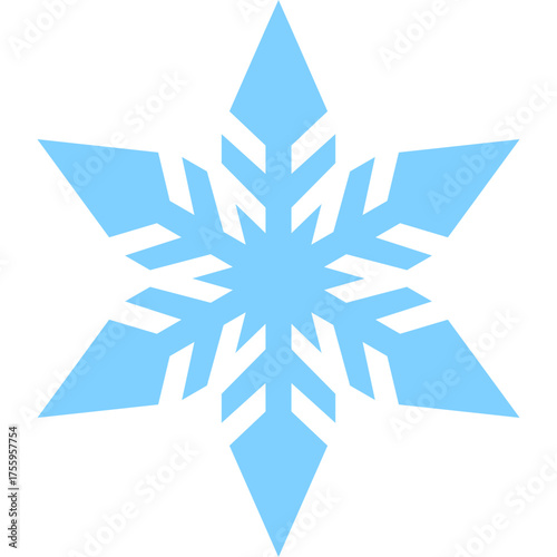 Winter Snowflake Element