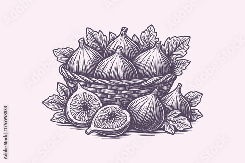 Figs in basket engraving style vector illustration	