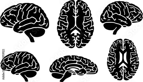 Human brain vector illustration isolated concept of mind and intelligence.