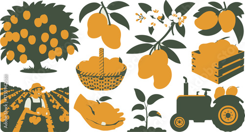 Mango Harvest Illustration Tree, Basket, Farmer, Crate, and Tractor, Representing Farm Life and Agriculture