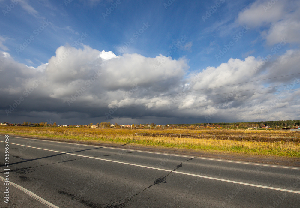 Fototapeta premium Cloudy sky with a few birds flying in the background