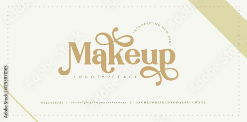 Elegant alphabet letters font and number. Classic Lettering Minimal Fashion Designs. Typography modern serif fonts decorative vintage wedding concept. vector illustration

