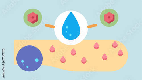 Barrier Enhancement An illustration conveying how nanoparticles help strengthen the skin barrier while simultaneously enhancing absorption of moisture and nutrients.