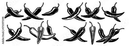 Vector art of variety of chili peppers, featuring different shapes and sizes in a detailed vector illustration