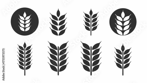 Illustration of eight wheat stalks in varying styles and arrangements on a white background design element | editable eps vectors silhouette
