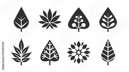 Illustration of eight stylized leaves with varying shapes and internal vein designs in black and white color | editable eps vectors silhouette