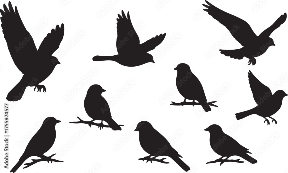Obraz premium Bird Silhouette Vector Set Flying and Perched Birds Black Silhouettes Collection.