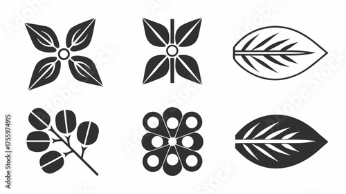 Collection of botanical motifs including floral arrangements leaves and a fruiting branch in black and white | editable eps vectors silhouette
