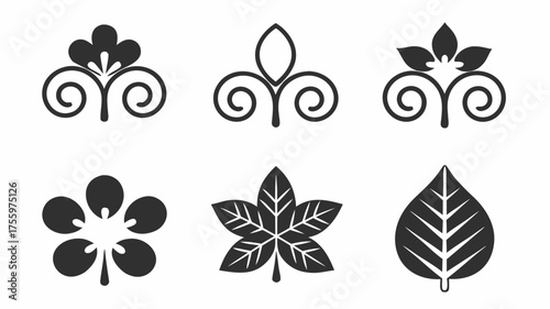 Collection of six stylized floral and leaf designs in black and white with curls and symmetrical shapes | editable eps vectors silhouette
