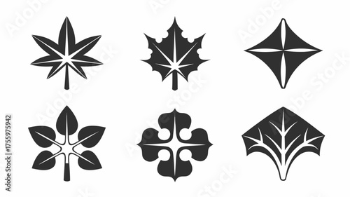Collection of six stylized botanical designs featuring various leaf and floral arrangements in black and white | editable eps vectors silhouette