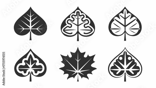 Illustration of six stylized leaves with different vein patterns and shapes arranged in two rows on white | editable eps vectors silhouette