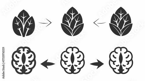 Three leaf icons and three brain icons arranged with arrows indicating transformation and direction | editable eps vectors silhouette