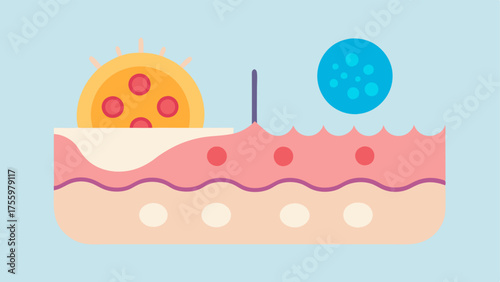 AntiAging Effect Illustrate an aging skin cell alongside a rejuvenated skin cell highlighting the transformative effects that exosomes have on skin vitality and texture.