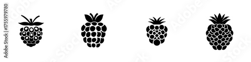 Various stylized representations of blackberries on a plain background showcasing their distinct shapes and details