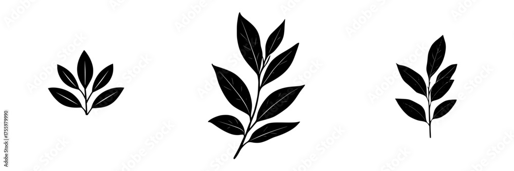 Naklejka premium Stylized leaf designs in black showcasing natural beauty and simplicity for creative projects