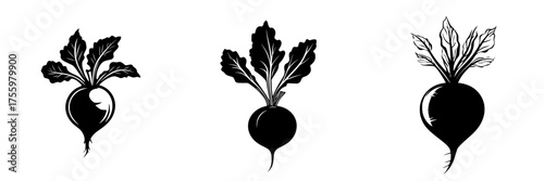 Black and white illustrations of radishes with leafy tops showcasing their distinctive shapes and textures