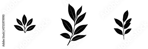 Stylized leaf designs in black showcasing natural beauty and simplicity for creative projects