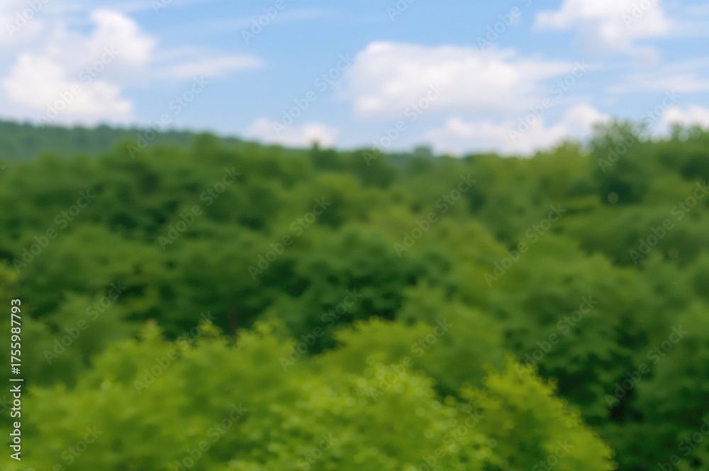 Obraz premium Blurred Background Featuring Lush Green Woods