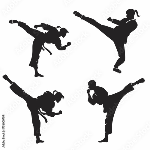 Dynamic silhouettes of four martial artists performing high kicks and punches in karate uniforms