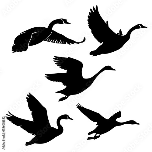 Collection of five black silhouettes of geese in various flying poses against a white background