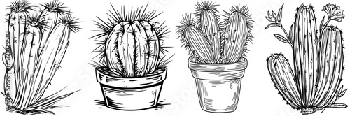 A stylized silhouette of a saguaro cactus featuring distinctive spiky arms in black and white