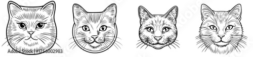 Illustration of a black cat in minimalist style, featuring noticeable whiskers and ears, set against a white backdrop