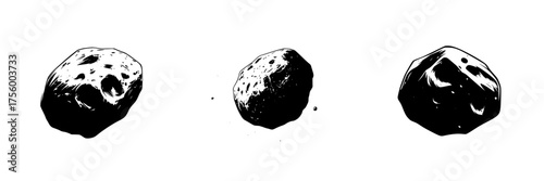 Various asteroids in different sizes and shapes against a plain background