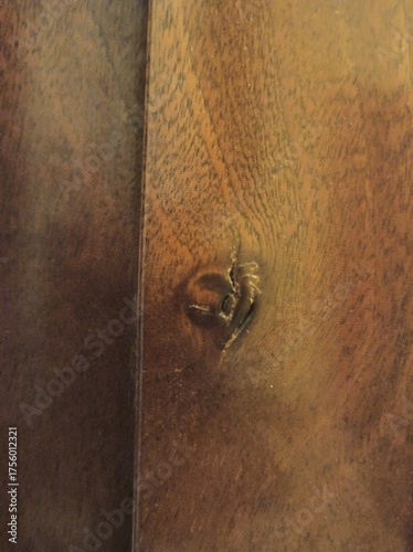 Wood knot textura background 