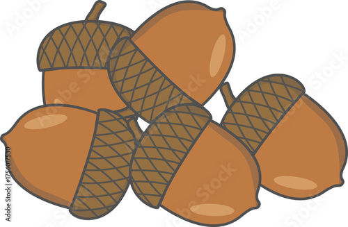 vector illustration of acorns
