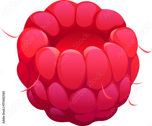 Cartoon ripe raspberry berry fruit with shiny and glossy texture, showcasing its juicy and plump segments. Isolated vector sweet, healthy food, organic summer product, fresh, raw, natural dessert