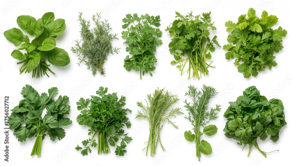 Naklejka premium Various fresh edible herbs and leafy greens isolated on a white background