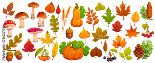 Cartoon autumn fall season leaves, mushroom and oak acorns, pine cones, berries and wheat ears. Vector Thanksgiving harvest holiday and autumn season pumpkins, red maple and yellow oak tree leaves