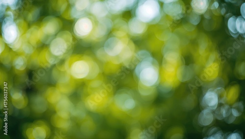 Blurred green bokeh backdrop inspired by nature