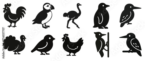 Silhouette solid icons of various birds. Set of black icon isolated PNG